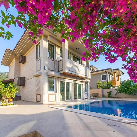 Mo Daily Weekly Villa